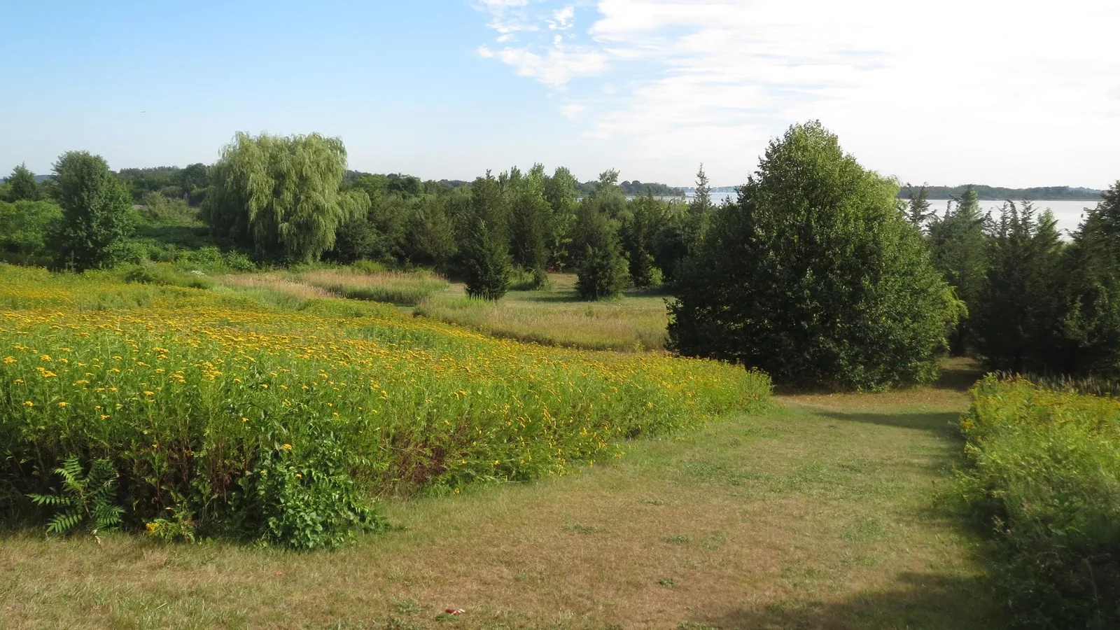 Meadow and trees at Webb Memorial State Park on the Weymouth shore, demolition and masonry contractor